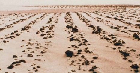 Hình 5 4 Đất bị suy thoái do gió Lê Văn Khoa 2005 Hình 5 5 Đất bị suy thoái do 4