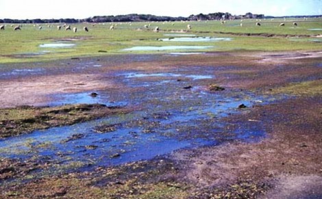 Hình 5 4 Đất bị suy thoái do gió Lê Văn Khoa 2005 Hình 5 5 Đất bị suy thoái do 5