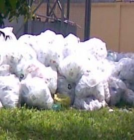 Hình 6 3 Rác tái chế tập trung cạnh lò đốt Bệnh viện Đa Khoa TW Cần Thơ Bùi 2