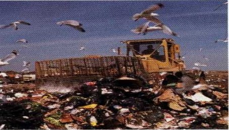 Hình 6 7 Môi trường đất bị ô nhiễm do bải rác lộ thiên Bùi Thị Nga 2004 VI 2 6