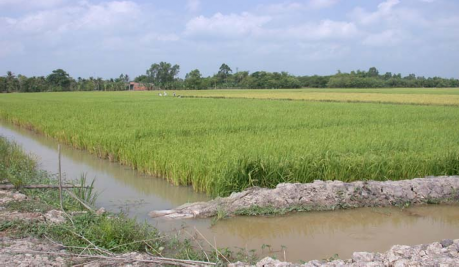 Hình 4 12 Đất là nơi diễn ra các họat động chủ yếu của con người Lê văn 1