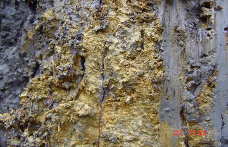 Hình 4 13 Phẩu diện đất phèn họat động Nguồn Lê Văn Khoa 2005 IV 2 4 4 Các vấn 2