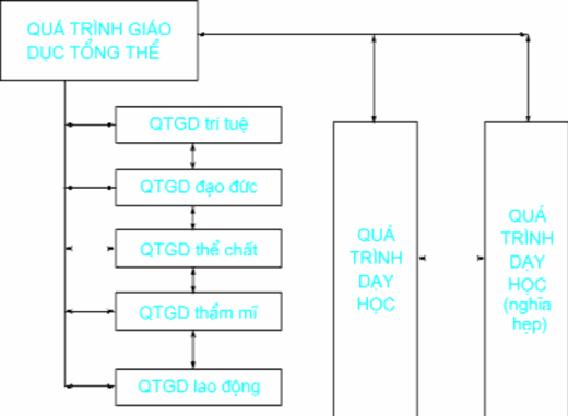 Nhiệm vụ của hoạt động 1 Trình bày khái niệm quá trình giáo dục và phân 1