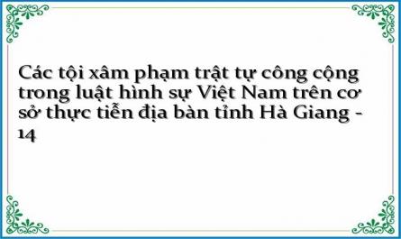 Các tội xâm phạm trật tự công cộng trong luật hình sự Việt Nam trên cơ sở thực tiễn địa bàn tỉnh Hà Giang - 14