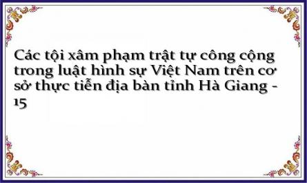 Các tội xâm phạm trật tự công cộng trong luật hình sự Việt Nam trên cơ sở thực tiễn địa bàn tỉnh Hà Giang - 15