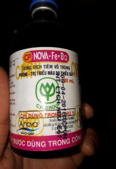 Ảnh 3 Thuốc NOVA Fe B12 Ảnh 4 Thuốc bổ Ảnh 9 Tiêm điều trị Ảnh 7 Vắc xin khô 3