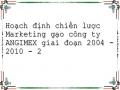 Hoạch định chiến lược Marketing gạo công ty ANGIMEX giai đoạn 2004 - 2010 - 2