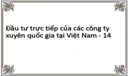 Đầu tư trực tiếp của các công ty xuyên quốc gia tại Việt Nam - 14