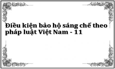 Điều kiện bảo hộ sáng chế theo pháp luật Việt Nam - 11