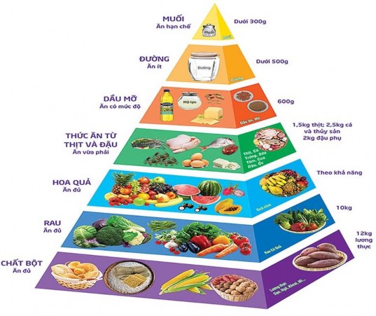 Hình 1 2 Tháp cân đối dinh dưỡng trong 1 tháng 23 1 1 4 Dinh dưỡng cho học sinh 2
