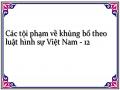 Các tội phạm về khủng bố theo luật hình sự Việt Nam - 12