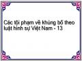 Các tội phạm về khủng bố theo luật hình sự Việt Nam - 13
