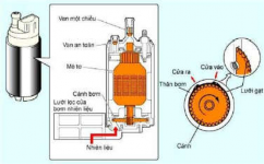 Hình 3 1 Bơm nhiên liệu loại mô tơ cánh gạt 1 3 Nguyên lý làm việc Hoạt động 2