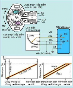 Hình 6 18 Cảm biến vị trí cánh bướm ga Loại phần tử Hall Cảm biến vị trí 3
