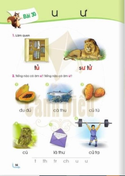 2 3 3 Tổ chức hoạt động trải nghiệm bằng cách sử dụng các tình huống giao 2