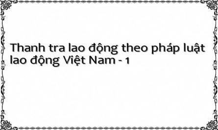 Thanh tra lao động theo pháp luật lao động Việt Nam - 1