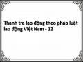 Thanh tra lao động theo pháp luật lao động Việt Nam - 12