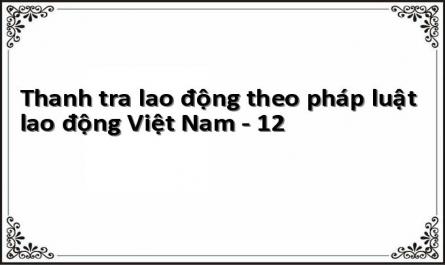 Thanh tra lao động theo pháp luật lao động Việt Nam - 12