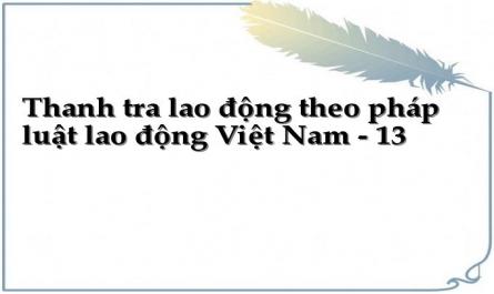 Thanh tra lao động theo pháp luật lao động Việt Nam - 13