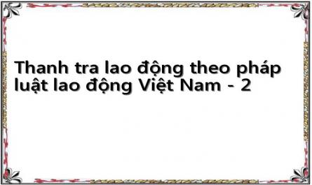 Thanh tra lao động theo pháp luật lao động Việt Nam - 2