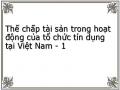 Thế chấp tài sản trong hoạt động của tổ chức tín dụng tại Việt Nam