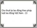 Cho thuê lại lao động theo pháp luật lao động Việt Nam - 13
