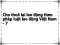Cho thuê lại lao động theo pháp luật lao động Việt Nam - 7