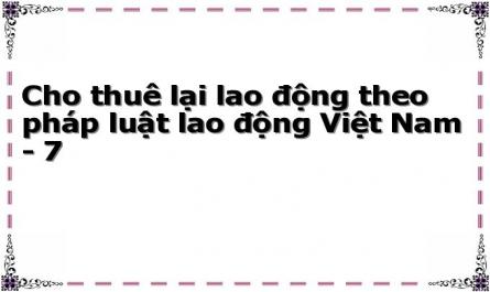 Cho thuê lại lao động theo pháp luật lao động Việt Nam - 7
