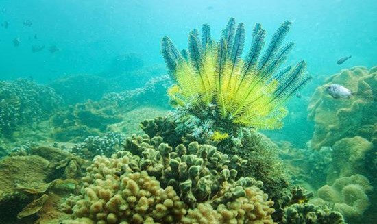 Hình 3 3 Du khách trải nghiệm làm nông dân và học nấu ăn tại Làng rau Trà Quế 2