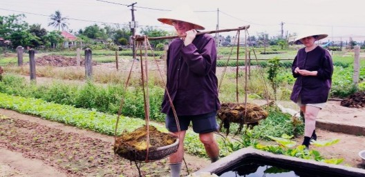 Hình 3 4 Du khách trải nghiệm làm trồng lúa nước 3