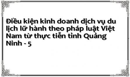 Thực Trạng Pháp Luật Về Điều Kiện Kinh Doanh Dịch Vụ Du Lịch Lữ Hành Tại Việt Nam