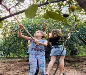 Hình 3 1 Mô hình vườn cây ăn quả của huyện Nguồn tác giả Chú trọng thực 4