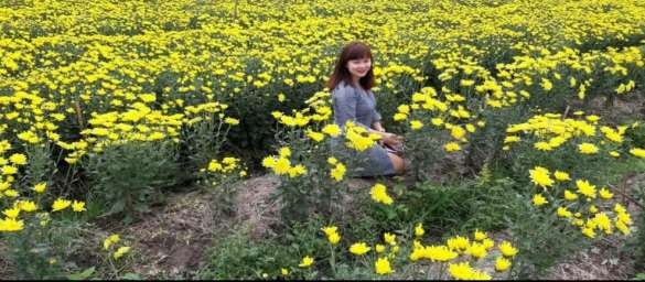 Nguồn tác giả Hình 3 2 Mô hình làng hoa Tết Ngoài ra kết hợp tham quan các mô 5