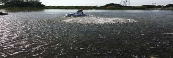 Nguồn tác giả Hình 3 3 Mô hình nuôi cá trong ao của huyện 3 2 Nhiệm vụ 3 2 1 Cơ 6