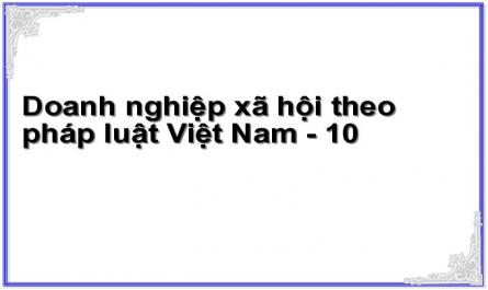 Doanh nghiệp xã hội theo pháp luật Việt Nam - 10