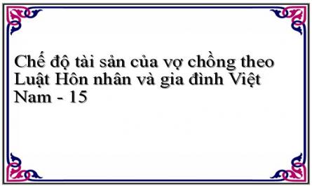 Chế độ tài sản của vợ chồng theo Luật Hôn nhân và gia đình Việt Nam - 15