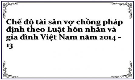Chế độ tài sản vợ chồng pháp định theo Luật hôn nhân và gia đình Việt Nam năm 2014 - 13
