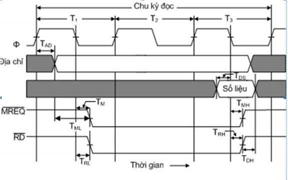 Hinh Hoạt động của bus không đồng bộ 3 Hệ thống bus phân cấp Phân cấp bus 3