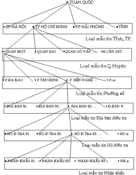 Hình 2 1 Mô hình phân cấp Hierachical Model Hình 2 2 Mô hình mạng Network Model Hình 2 1