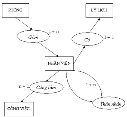 Hình 2 2 Mô hình mạng Network Model Hình 2 3 Mô hình thực thể kết hợp Entity 2