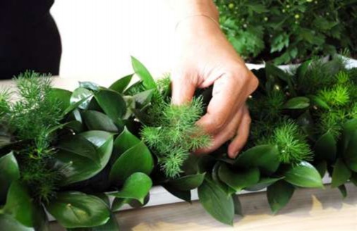 Lá cau Lá đinh lăng Câu hỏi Câu 1 Trình bày ý nghĩa một số loài hoa mà em biết 10