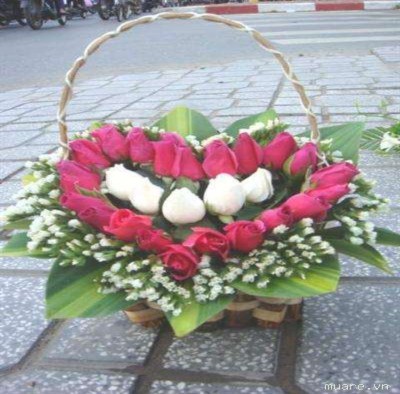 Hình 49 – Mẫu cắm hình trái tim Hình 50 – Mẫu cắm hình tam giác Câu hỏi Câu 1 5