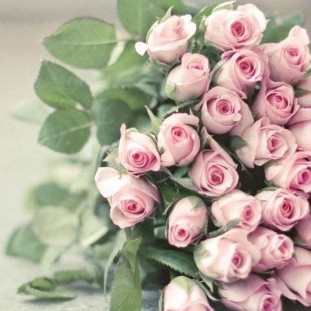 Hồng tỉ muội Khi được tặng nếu là bạn trai thì cần hiểu rằng bạn là 10