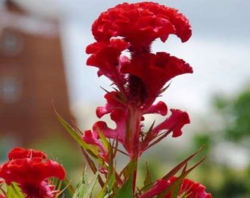 Mười giờ Hẹn em lúc 10h 22