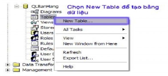 Tạo bảng dữ liệu Bước 2 Trong màn hình thiết kế cấu trúc bảng design table 2