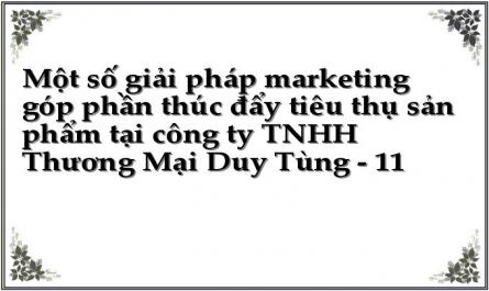 Một số giải pháp marketing góp phần thúc đẩy tiêu thụ sản phẩm tại công ty TNHH Thương Mại Duy Tùng - 11