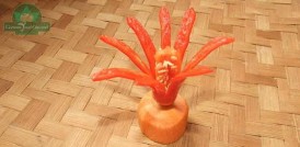 Hình 4 17 Hoa ớt đồng tiền Các loại hoa từ ớt nói chung các bạn lưu ý nên 4