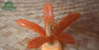 Hình 4 18 Hoa ớt 5 cánh Chọn một quả ớt sừng lớn còn tươi Cắt đôi quả ớt 5