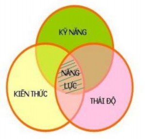 Sơ đồ 1 1 Mối quan hệ giữa năng lực kiến thức kỹ năng 5 Như vậy trí thức 1