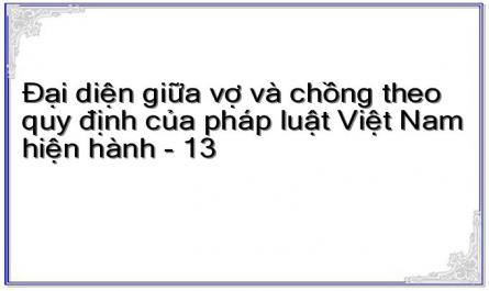 Đại diện giữa vợ và chồng theo quy định của pháp luật Việt Nam hiện hành - 13